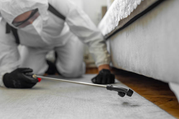 Professional Bed Bug Control technician working in Woodlawn, OH
