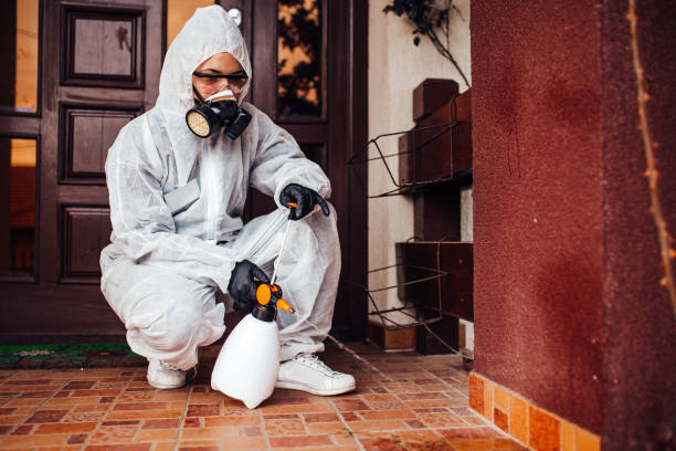 Reliable Bed Bug Control contractor in Woodlawn, OH by Nex Pest Control