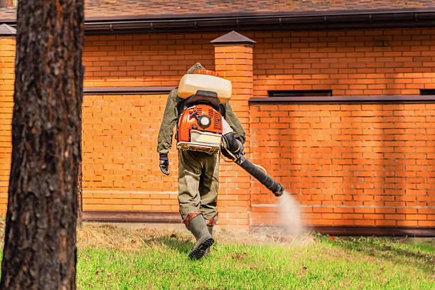 Trusted Bed Bug Control service in Woodlawn, OH - Nex Pest Control